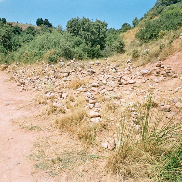 Home 13