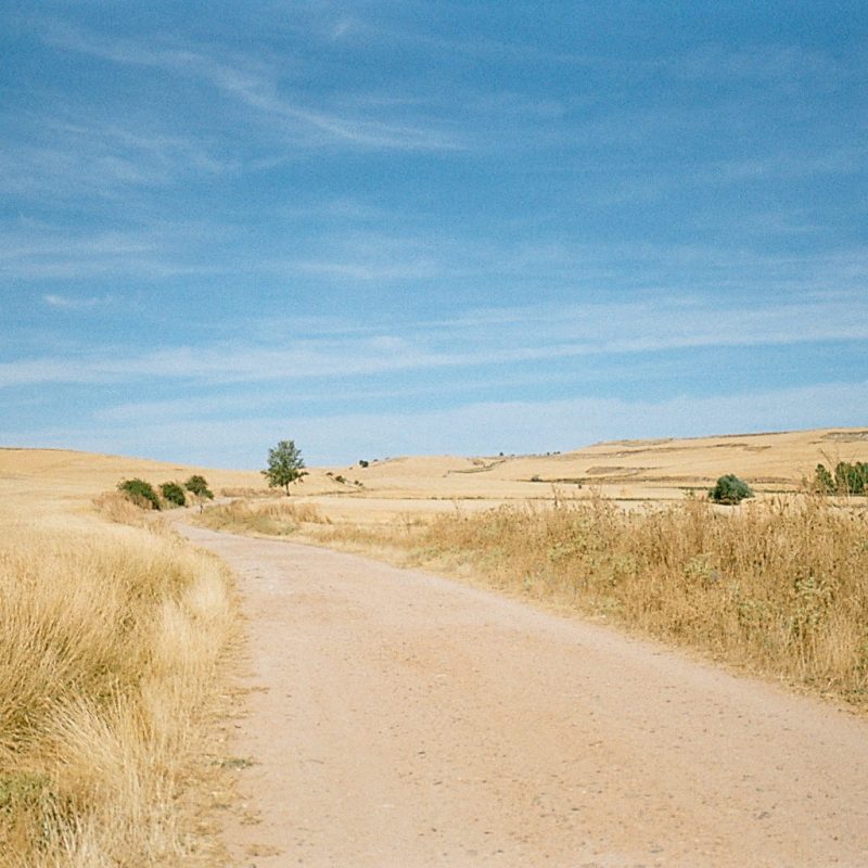 Home 22
